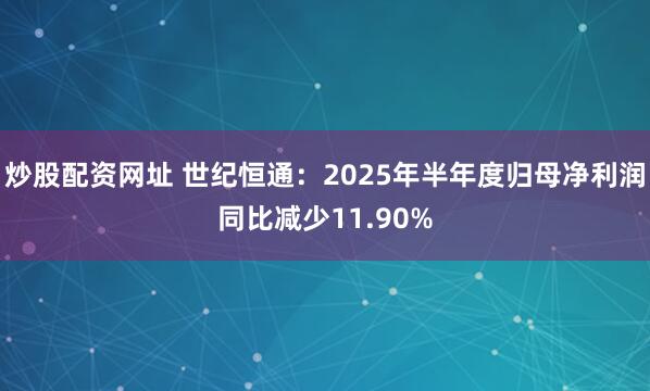 炒股配资网址 世纪恒通：2025年半年度归母净利润同比减少11.90%